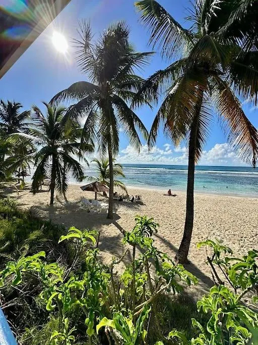 Daire Studio Ti Kaz An Nou - Vue Mer - Acces Piscine Sainte-Anne  Guadeloupe